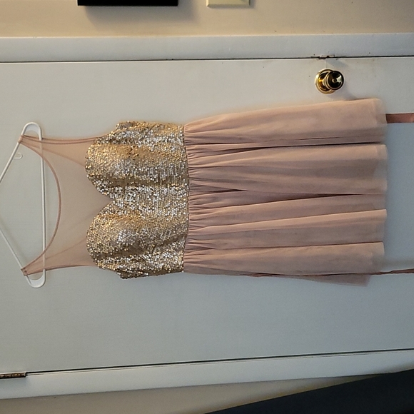 Sequined Blush Cocktail Dress (size 12) - Picture 3 of 3